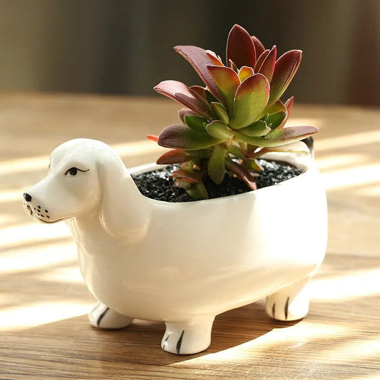 Ceramic Dachshund Succulent Pot | The Best Dachshund Gifts