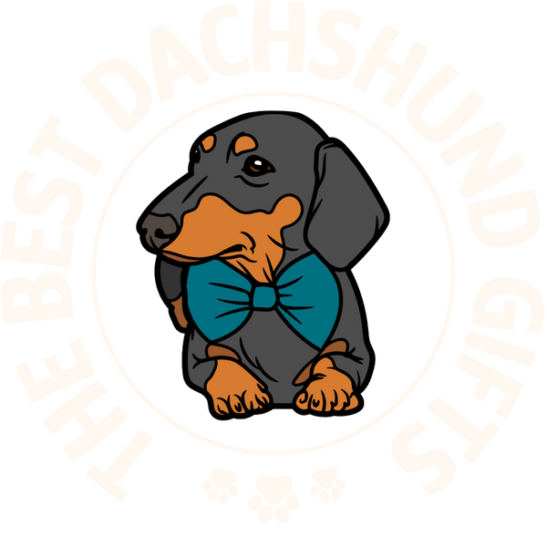 The Best Dachshund Gifts