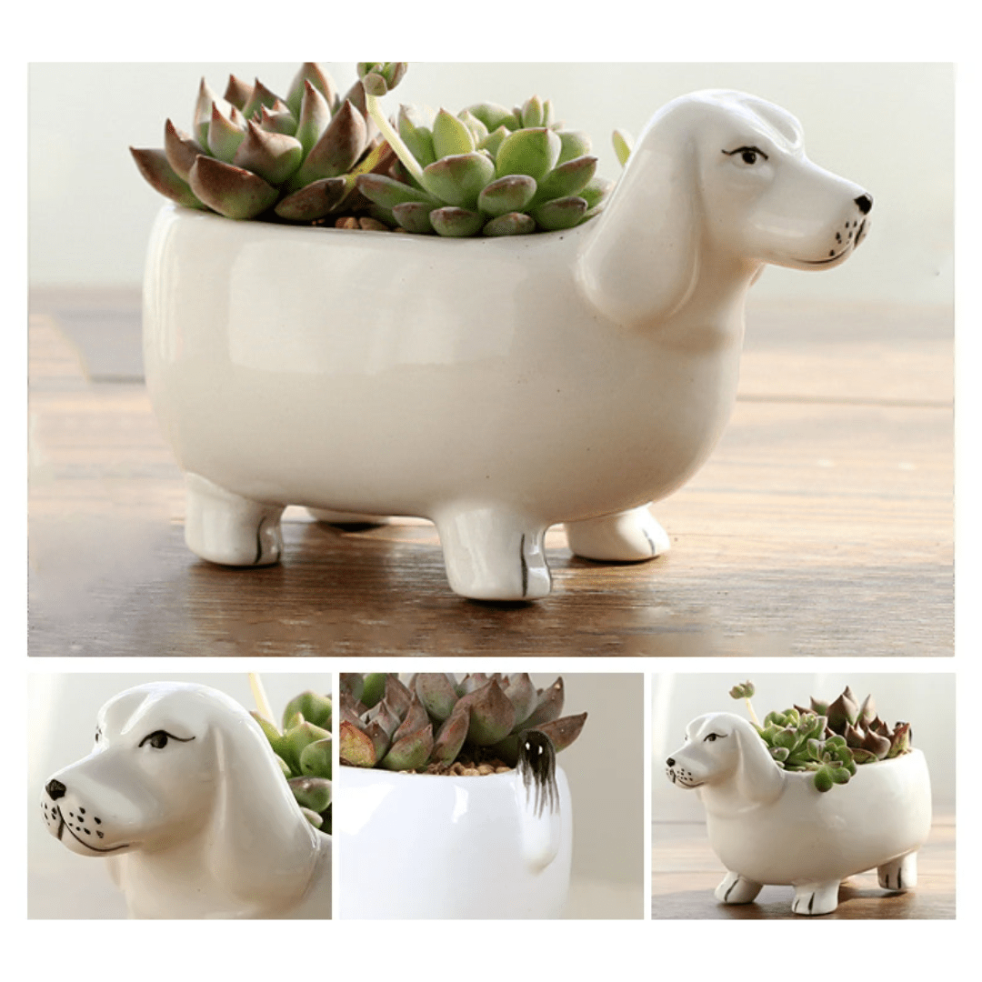 Ceramic Dachshund Succulent Pot | The Best Dachshund Gifts