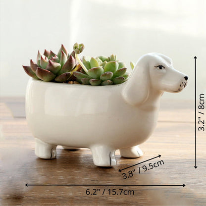 Ceramic Dachshund Succulent Pot | The Best Dachshund Gifts