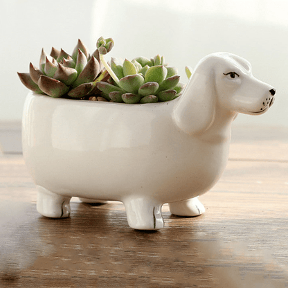 Ceramic Dachshund Succulent Pot | The Best Dachshund Gifts