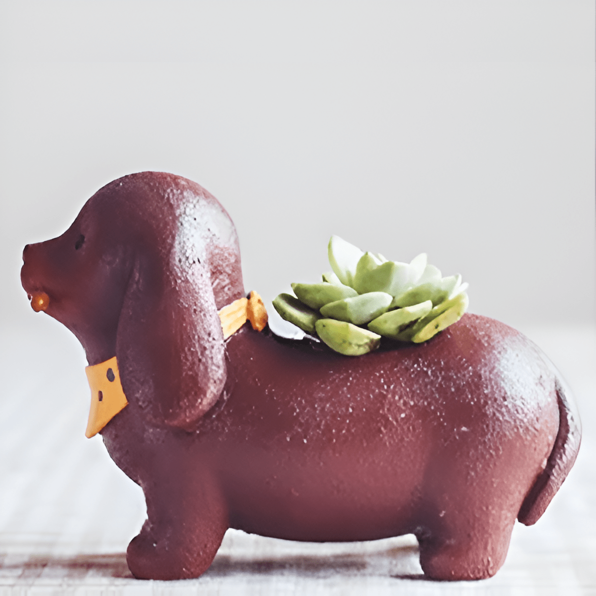 Resin Dachshund Succulent Pot | The Best Dachshund Gifts